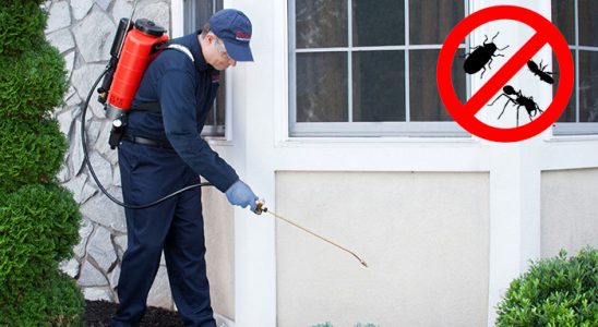 Aydıncık Hamam Böceği İlaçlama böcek ilaçlama ve haşere kontrolü — ilaclama-tr.com